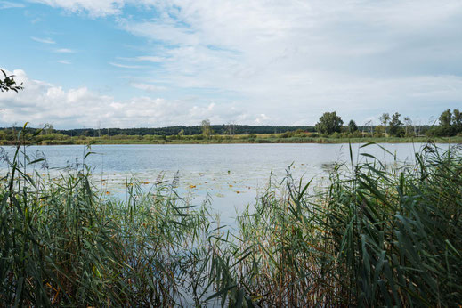 Deutschland; Brandenburg; Tourenplanung, Fahrradtour, Graveln