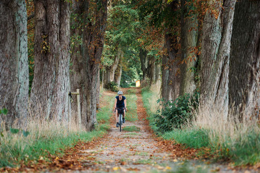 Deutschland; Mecklenburg-Vorpommern; Tourenplanung, Fahrradtour, Graveln