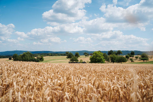 Deutschland; Baden-Württemberg; Wandern; Tourenplanung