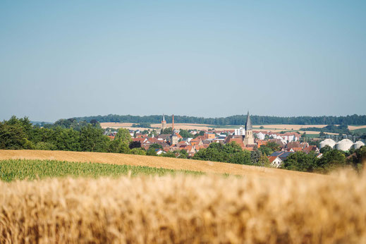 Deutschland; Baden-Württemberg; Wandern; Tourenplanung