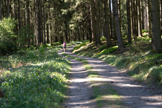 Belgien; Wallonie; Radfahren; Fahrradtour; Routenplanung; Bikepacking