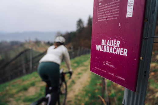 Österreich; Steiermark; Radfahren; Tourenplanung; Graveln; Bikepacking
