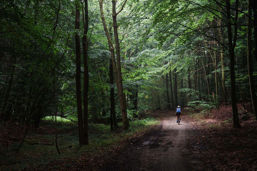 Deutschland; Mecklenburg-Vorpommern; Tourenplanung, Fahrradtour, Graveln