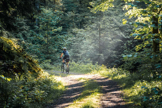 Deutschland; Baden-Württemberg; Naturparke Gravel-Crossing; Radfahren; Tourenplanung; Graveln; Bikepacking