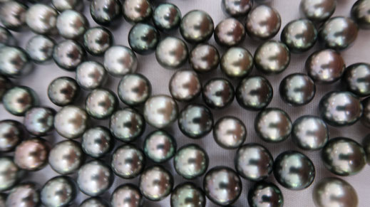 Les perles noir de Tahiti, directement à la ferme perlière