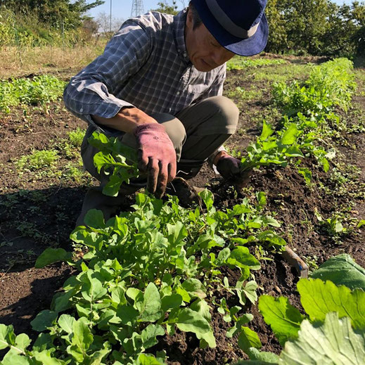 11/4巻き寿司イベント・生産者紹介の画像20