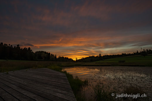 Abendstimmung Guldenen Forch