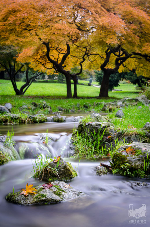 Parchi e giardini 2b - Un ruscello nel Giardino Roccioso