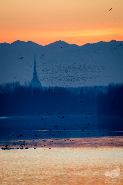 Il fiume Po 4b - Il Po, la Mole e le Alpi al tramonto