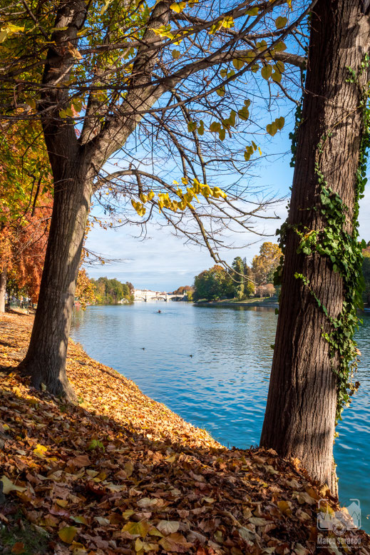 Il fiume Po 6b - Scorcio sul Po dal parco del Valentino