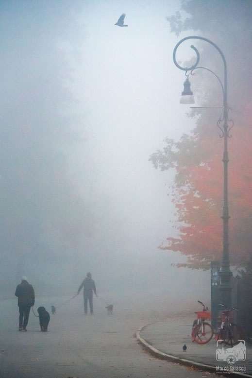 Parchi e giardini 11b - La nebbia del mattino