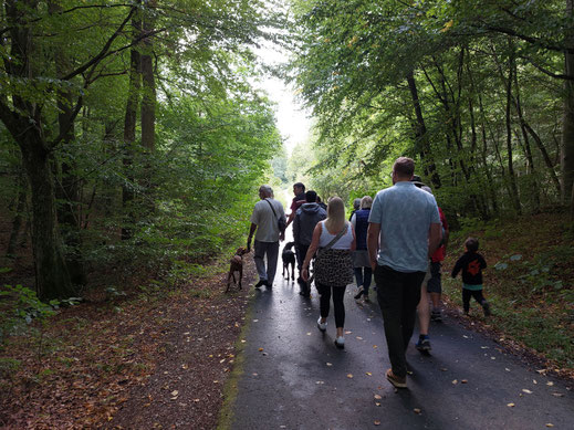 Wanderung: Mit dem Förster in den Naturwald 