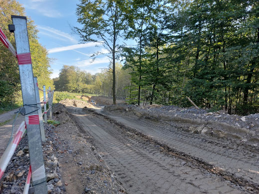 Frühjahr, Sommer, Herbst 2023 am Weserbergland-Weg