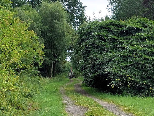 Erntemaschine Ecke Dachtelfeld