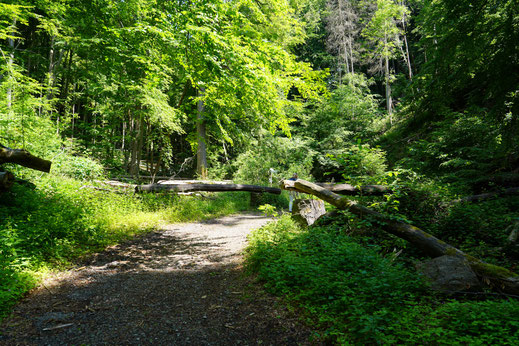 Zwei Jahre später am Fuchsbrückenweg
