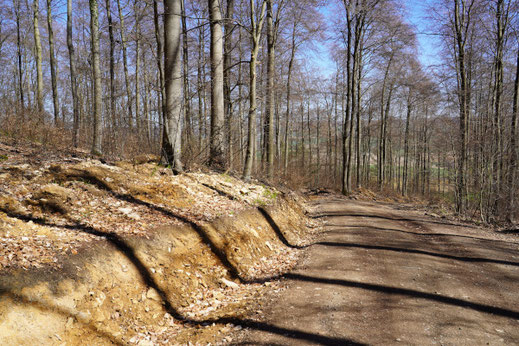 Regenwasser weicht den Forstweg auf