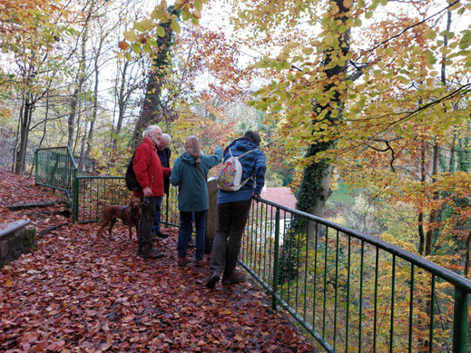 Ein Hauch von Indian Summer