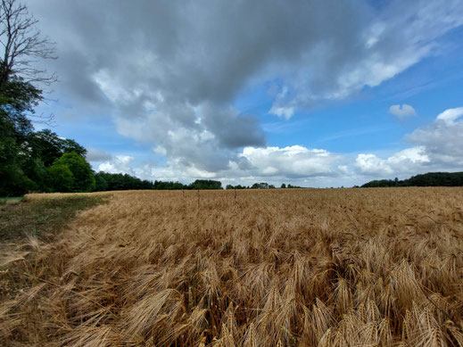 Einen Spaziergang wagen bei launigem Wetter?