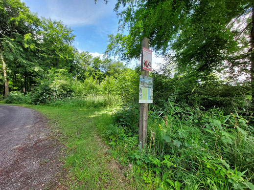 Noch 150m bis zum Naturschutzgebiet Hohenstein