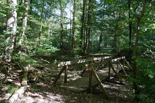 2025 September/Oktober Brücke über die Bückeburger Aue