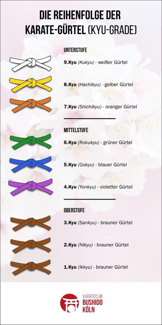 Infografik zur Karate Gürtel Reihenfolge im Shotokan: Kyu-Grade von Weißgurt bis Braungurt bei Bushido Köln.