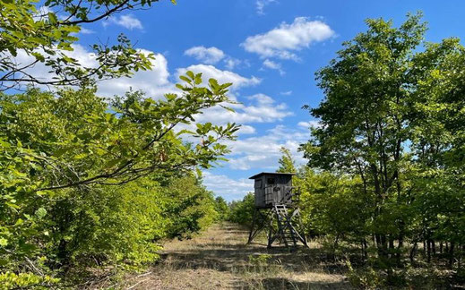 250 ha Eigenjagd zu Verkauf Brandenburg