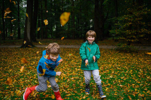 fall in the Netherlands