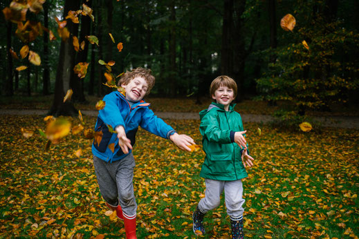 leaves falling in Oestgeest