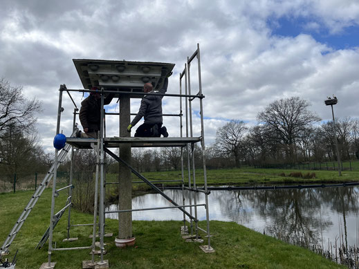 Die Installation der Mehlschwalben-Lockrufanlage am Regenrückhaltebecken in der Bachstraße, Stemwarde.