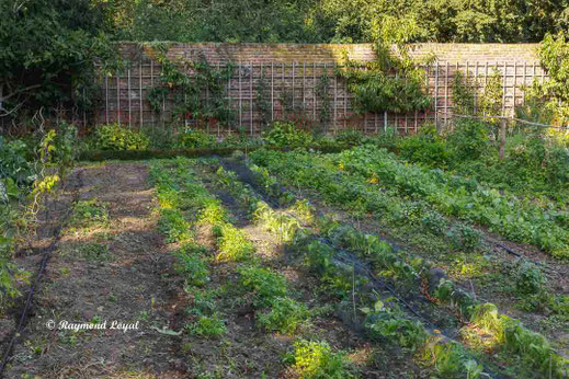 benrath palace kitchen garden