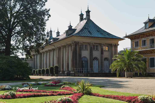 pillnitz palace and gardens