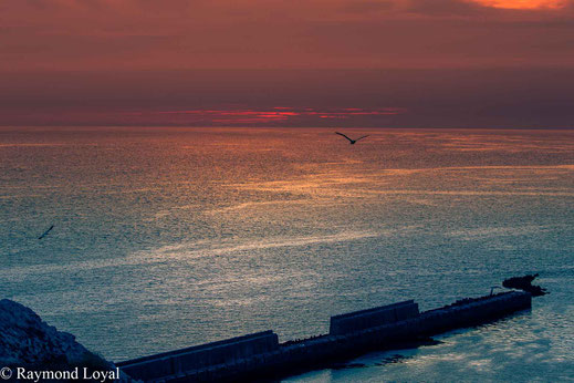helgoland natur foto