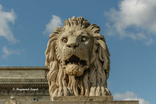 budapest chain bridge