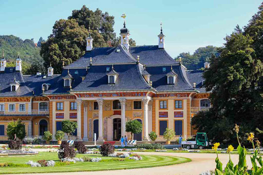 pillnitz palace and gardens