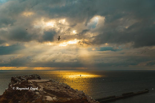 helgoland natur wolken licht meer