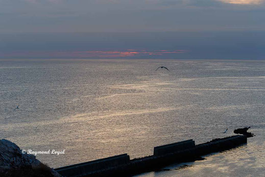 Helgoland foto