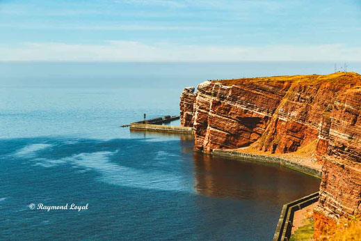 helgoland vogelfelsen
