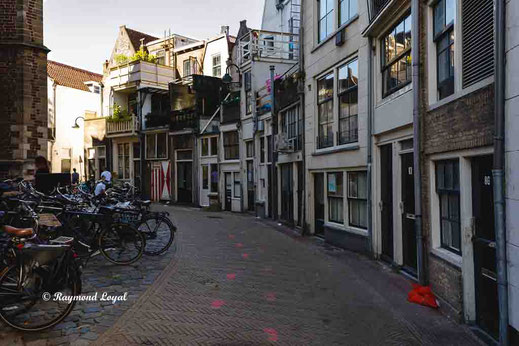 grote st jans kerk gouda