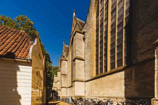 grote st jans kerk gouda