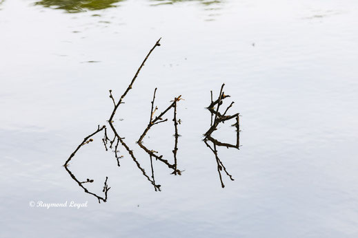 landschaft natur fotografie