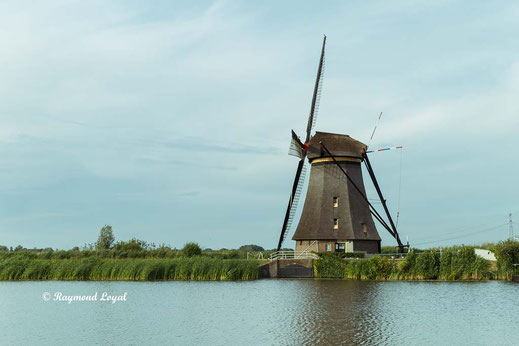 kinderdijk windmills images
