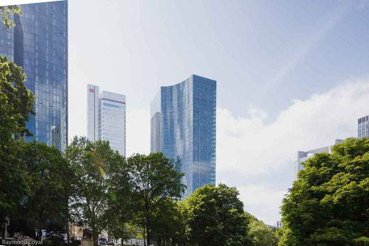 frankfurt city skyline image
