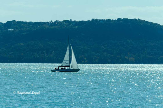 lake balaton image sailing boat