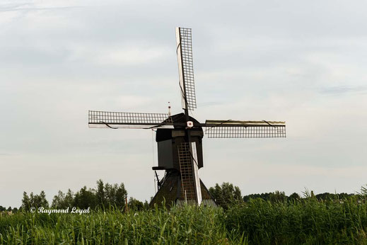 kinderdijk windmuehle de blokker