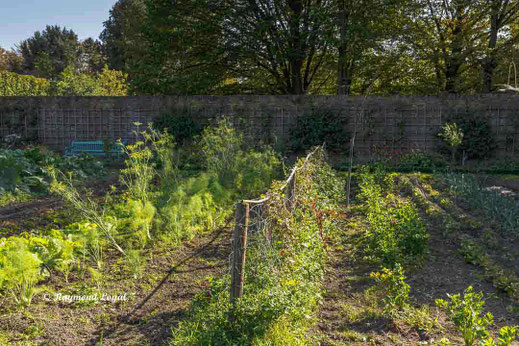 benrath palace kitchen garden