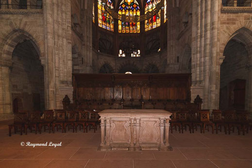 baseler muenster