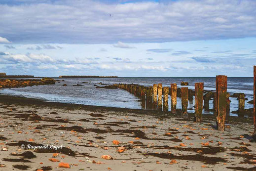 helgoland images