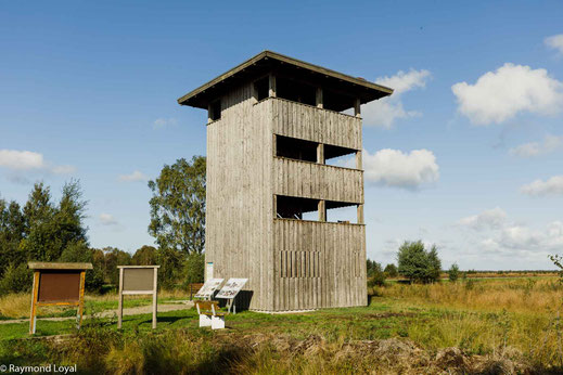 Rehdener Geestmoor Diepholzer Moorniederung