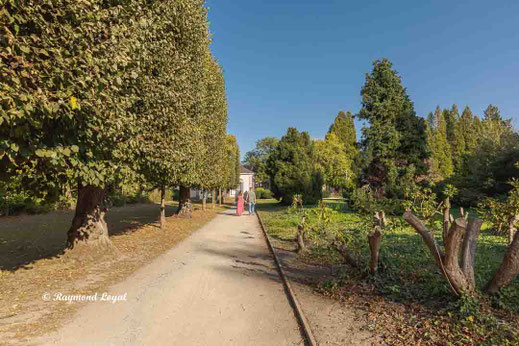 benrath palace flower garden