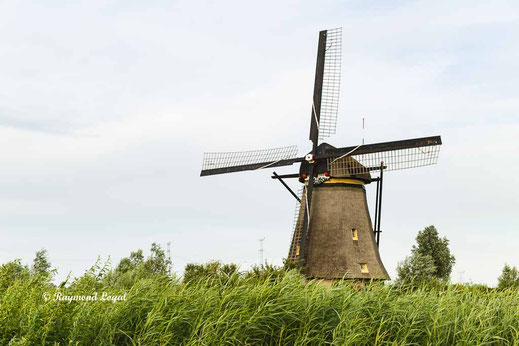 kinderdijk windmills image